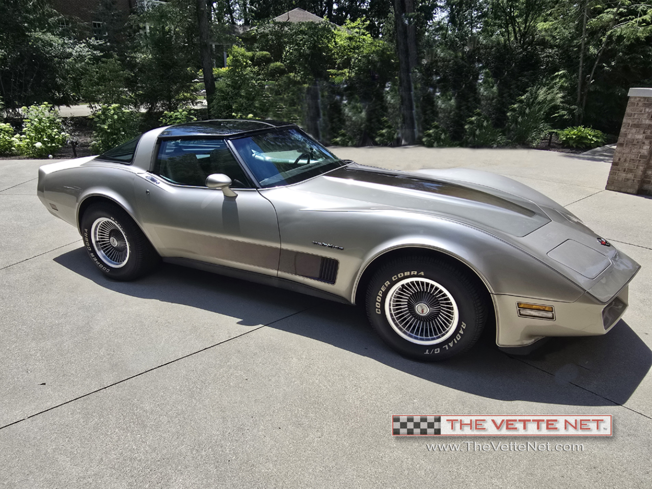 1982 Corvette T-Top Silver-Beige