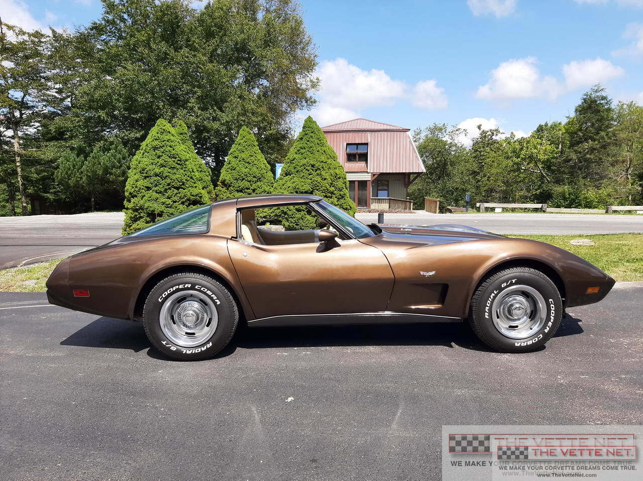 1979 Corvette T-Top Brown Metallic